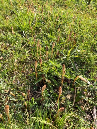 201904pic01