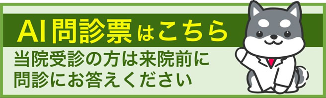 来院前AI問診(Web問診票)